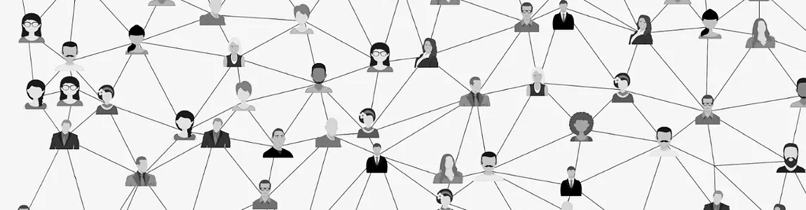 Organización interna
